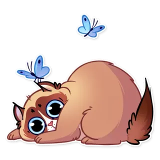 😳 gato, gatinho, borboleta, animal, fofo, animal de estimação whatsapp sticker
