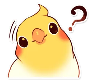 ❓ vẹt mào, chim, câu hỏi, dễ thương, bối rối telegram sticker