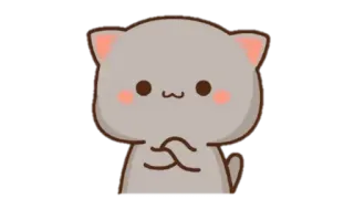 🍩 cat, cute, animal, kawaii, peach cat, blush, cartoon telegram sticker