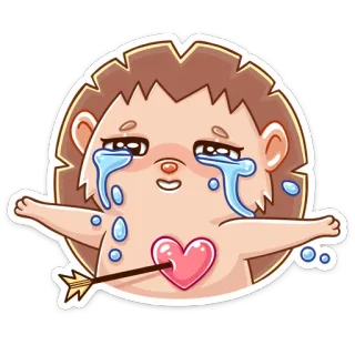 💔 crying, sad, heart, arrow, hedgehog, hurt whatsapp sticker