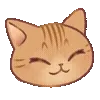 🐱