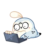 🤩 sowa, kreskówka, słodki, zwierzę, naklejka telegram sticker