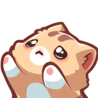 🥺 chat, chaton, mignon, animal, animal de compagnie, autocollant telegram sticker