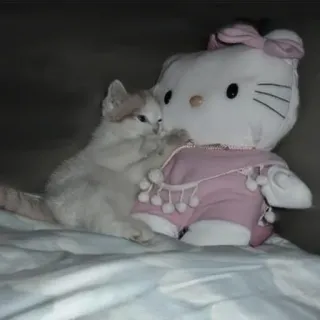 🍄 Hello Kitty 고양이, 새끼 고양이, 인형, 장난감, 귀여운 telegram sticker