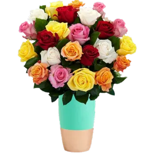 🌷 розы, букет цветов, ваза, цветы, цветочный, подарок, украшение telegram sticker