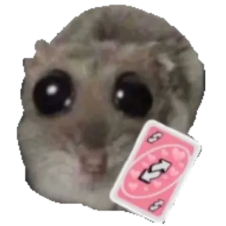 🃏 햄스터, 귀여운, 동물, 밈, 우노 리버스 카드, 웃긴 whatsapp sticker