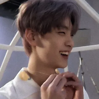 🎐 whatsapp sticker