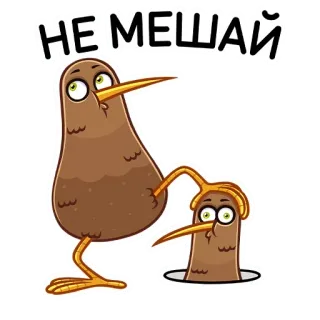 😤 НЕ МЕШАЙ Burung kiwi, Burung, Kartun, Jangan ganggu, Rusia, Binatang telegram sticker