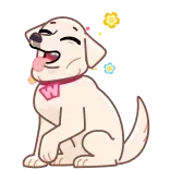 😄 cachorro, animal, animal de estimação, fofo, feliz whatsapp sticker