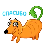 🙏 СПАСИБО Hund, Karotte, Danke, Russisch, Cartoon telegram sticker