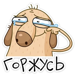 👍 Горжусь kartun, anjing, menangis, sedih, bangga telegram sticker