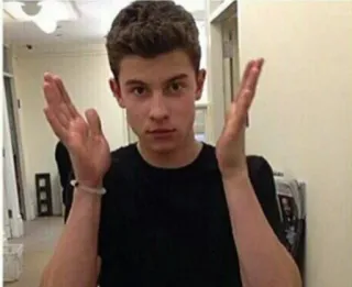 😳 Shawn Mendes shawn mendes, singer, portrait, celebrity telegram sticker