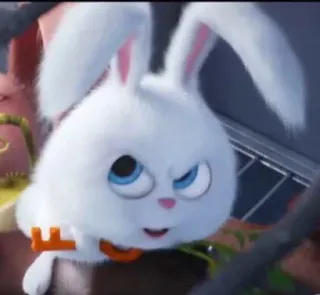🐰 Snowball The Secret Life of Pets conejo, blanco, mascota, animal, dibujos animados, personaje, Bola de Nieve whatsapp sticker