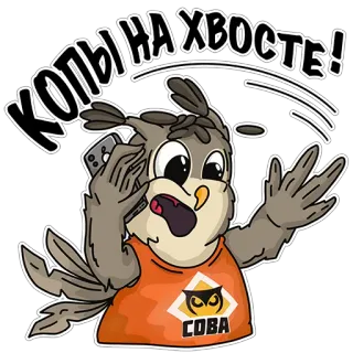 Сова - душа компании whatsapp stickers