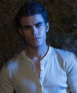 🌟 Stefan Salvatore The Vampire Diaries 뱀파이어, TV 프로그램, 드라마, 판타지, 배우 telegram sticker