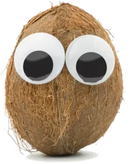 👀 coconut, eyes, googly eyes, fruit, funny, cartoon, cute telegram sticker