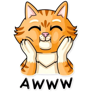 ☺️ AWWW น่ารัก, แมว, อว์, น่าเอ็นดู, ลูกแมว, มีความสุข, สีส้ม whatsapp sticker