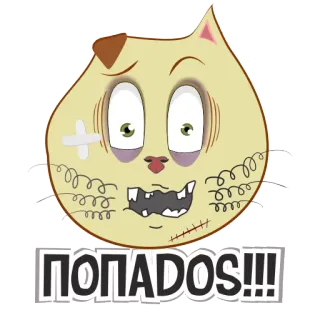 DailerCats telegram stickers