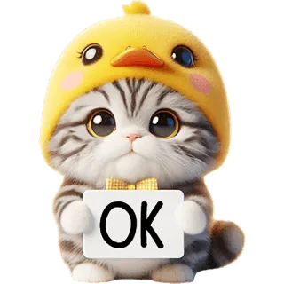 👌 OK cat, cute, animal, sticker, OK, kitten, hat, duck whatsapp sticker