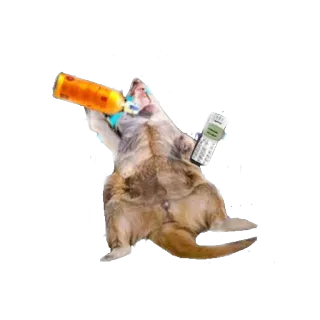 🍺 cão, telefone, animal, garrafa telegram sticker
