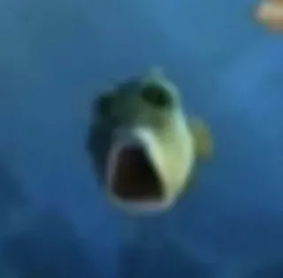 😲 fish whatsapp sticker