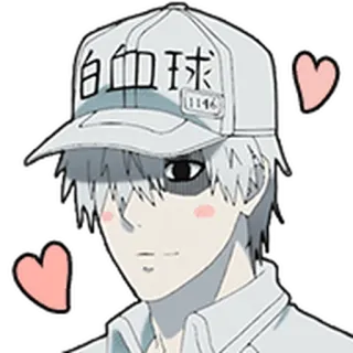 🩸 Neutrophil Cells at Work! 白血球 cells at work, Anime, Kawaii, Neutrophile, Personnage, Globule blanc, Chapeau telegram sticker