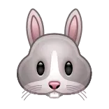 🐰