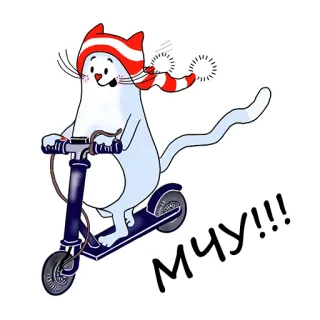 🏃‍♀️ МЧУ!!! cat, scooter, winter, scarf, hat, cute, animal telegram sticker