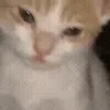 🥲
