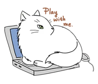 🎮 gatto, computer, laptop, bianco, animale telegram sticker