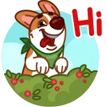 👋 Hi dog, hi, greeting, animal, friendly, cute telegram sticker