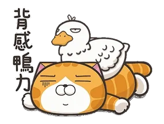 ⭐️ 背月感鴨力 gato, pato, animal, dibujo animado, pegatina, ilustración, lindo telegram sticker