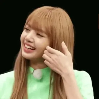🌿 Lisa Lisa, Blackpink, Kpop, cantora, celebridade, mulher, pessoa, sorriso telegram sticker