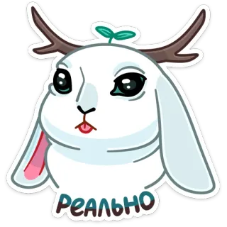 😦 РЕАЛЬНО animal, coelho, engraçado, desenho animado, adesivo, fofo telegram sticker