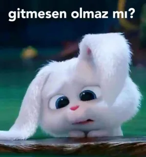 😔 gitmesen olmaz mı? 토끼, 토끼, 슬픈, 귀여운, 만화, 동물 whatsapp sticker
