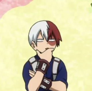 ‼️ Shoto Todoroki My Hero Academia Anime, My Hero Academia, Shoto Todoroki, Todoroki telegram sticker