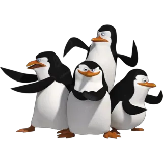 🐧 pinguini, cartoni animati, gruppo, animali, animazione telegram sticker
