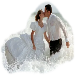 💑 婚礼, 情侣, 海滩, 亲吻, 婚姻, 爱, 新娘, 新郎 telegram sticker