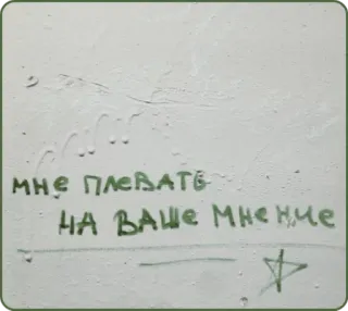 🗣 МНЕ ПЛЕВАТЬ НА ВАШЕ МНЕНИЕ whatsapp sticker