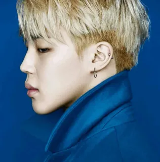 ✨ Jimin kpop, jimin, penyanyi, bts, idola whatsapp sticker