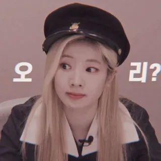 🥮 오리? kpop, twice, dahyun, coreano, domanda, celebrità, idol telegram sticker