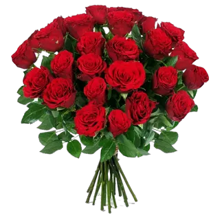 💐 Rose, Rosen, Blume, Strauß, rote Rosen, Liebe, Romantik, Blumen telegram sticker