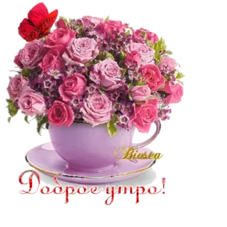 💐 Доброе утро! flowers, roses, butterfly, good morning, cup, bouquet telegram sticker