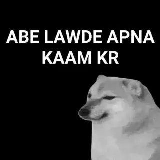 🙂 ABE LAWDE APNA KAAM KR doge, meme, india, hindi, menyinggung whatsapp sticker