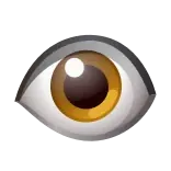 👁