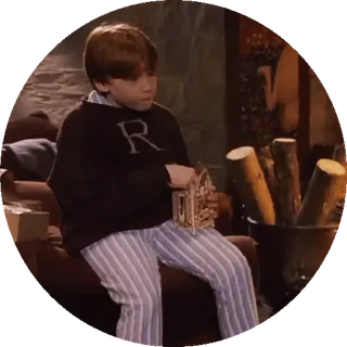 🌟 Ron Weasley Harry Potter Ron Wemel, Harry Potter, jongen, fictie, magie, kind telegram sticker