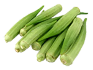 🌶 オクラ, 野菜, 食べ物, 緑, 健康, 料理 telegram sticker