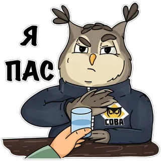 🙅‍♂️ Я ПАС owl, cartoon, animal, glass, text, russian whatsapp sticker