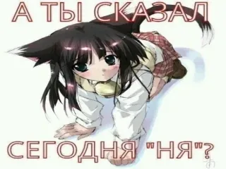 Больше стиков тут: @stikery4 whatsapp stickers