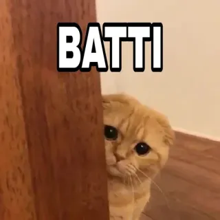 🍁 BATTI Katze, süß, lustig, Haustier, Tier telegram sticker